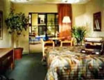 Magnuson Adobe 2* Holbrook